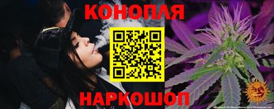 прущие грибы Владивосток