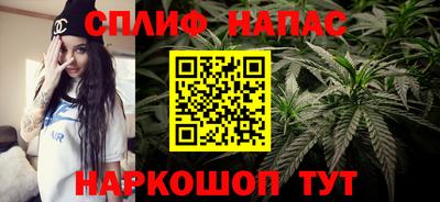 прущие грибы Владивосток