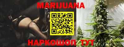 прущие грибы Владивосток