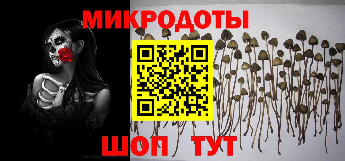 Нижнеудинск  закладка  Вход с VPN  Галлюциногенные грибы Cubensis  Галлюциногенные грибы мухоморы 