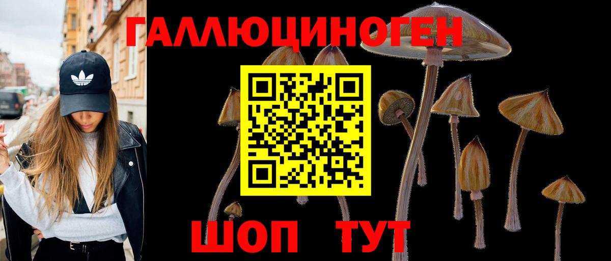 Псилоцибиновые грибы мухоморы Нижнеудинск